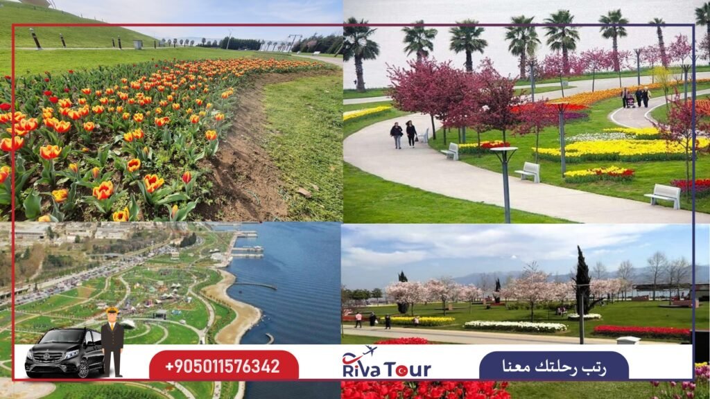 حديقة سيكا حديقة العجائب