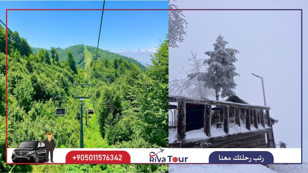 جبل كارتبه