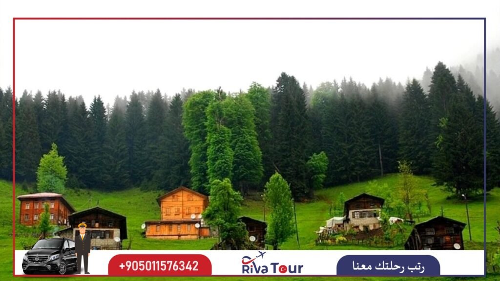 برنامج سياحي في ايدر لمدة 7 أيام