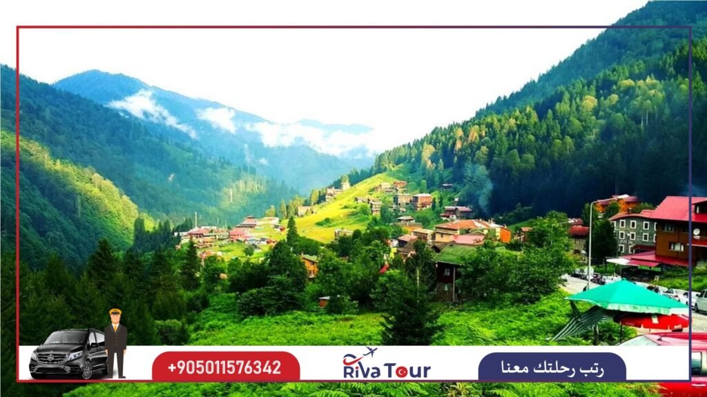 اليوم الثالث : رحلة ايدر