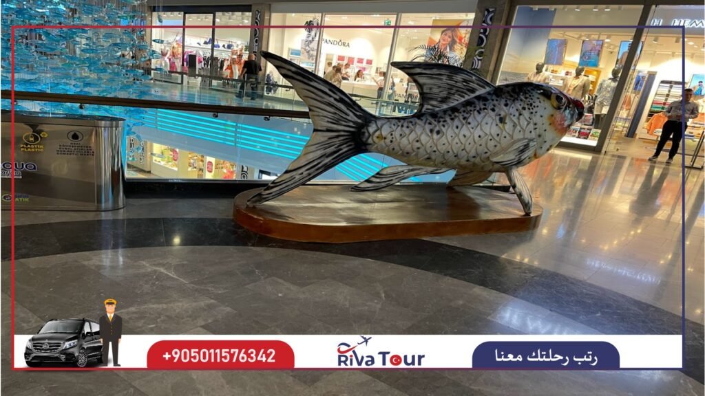 مول أكوا فلوريا