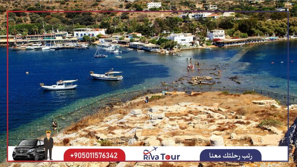 جزيرة طافشان