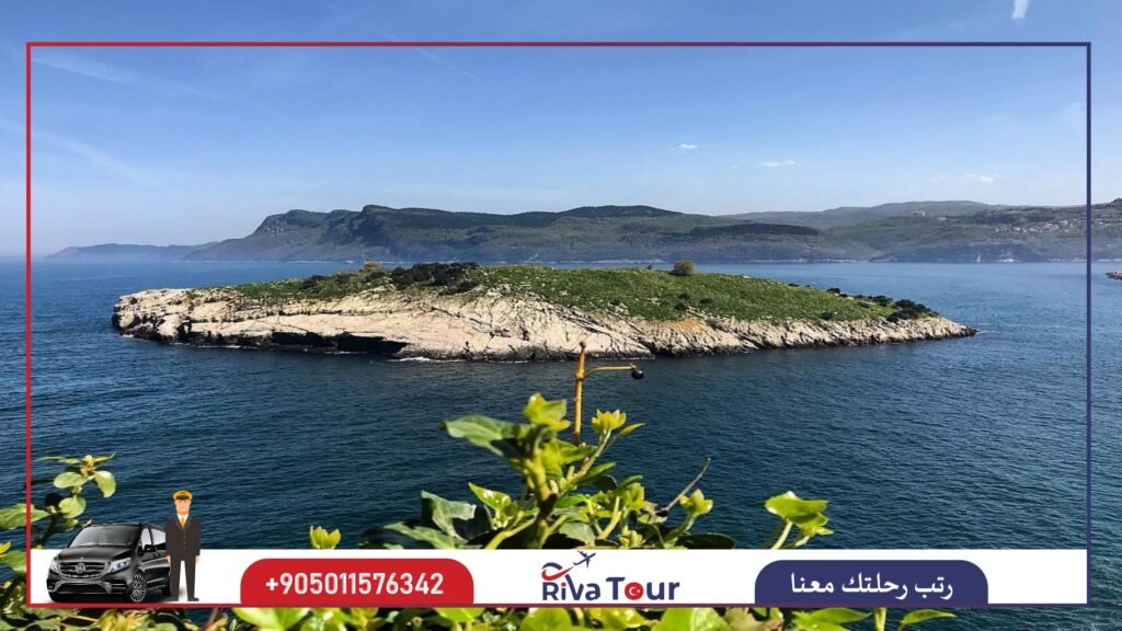 جزيرة طافشان