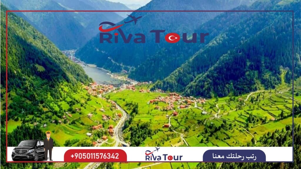 1. شركة RIVA TOUR