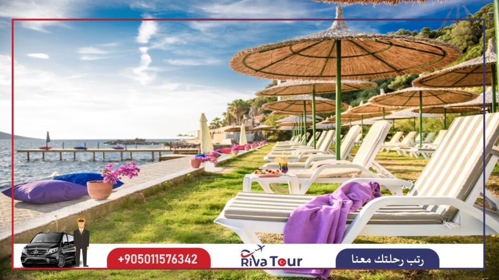 شاطئ فينك