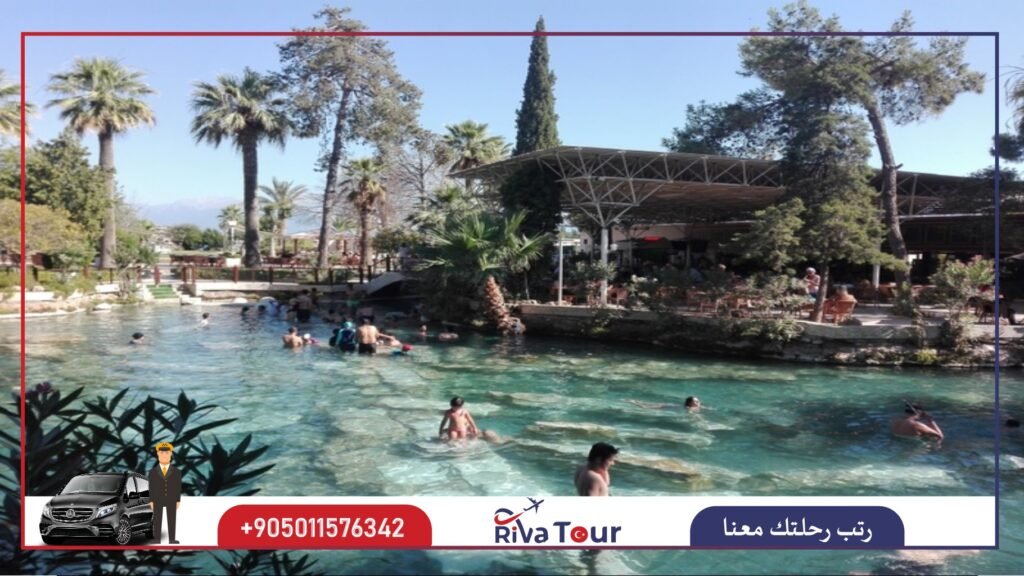 البركة القديمة