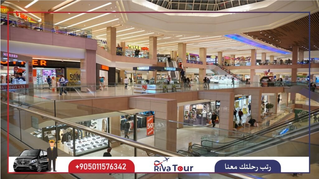 تيبي نوتيلوس