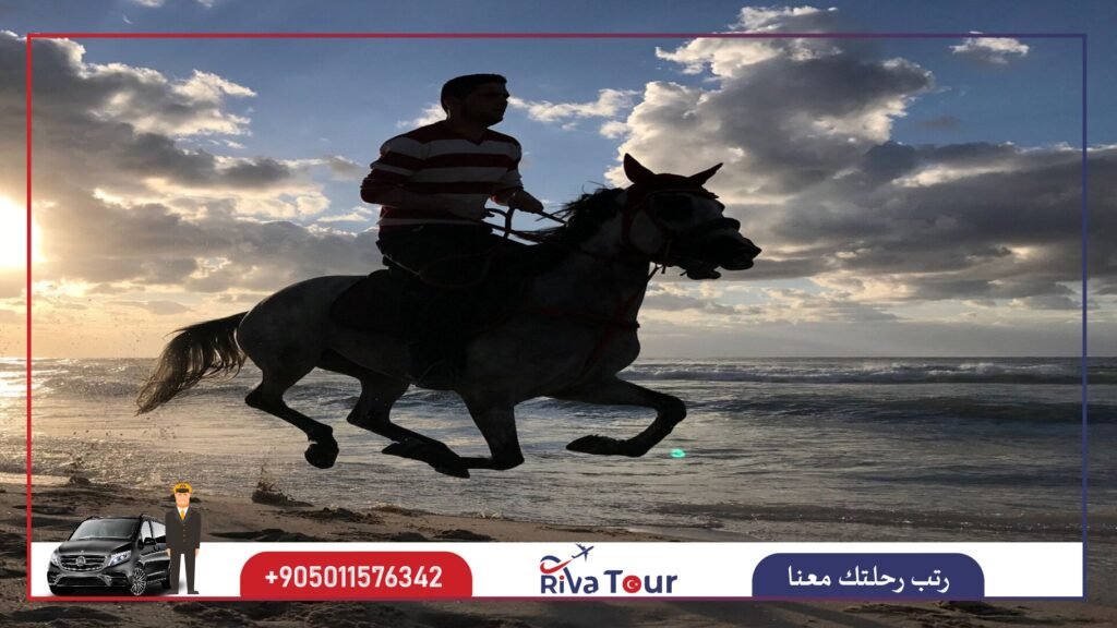 ركوب الخيل