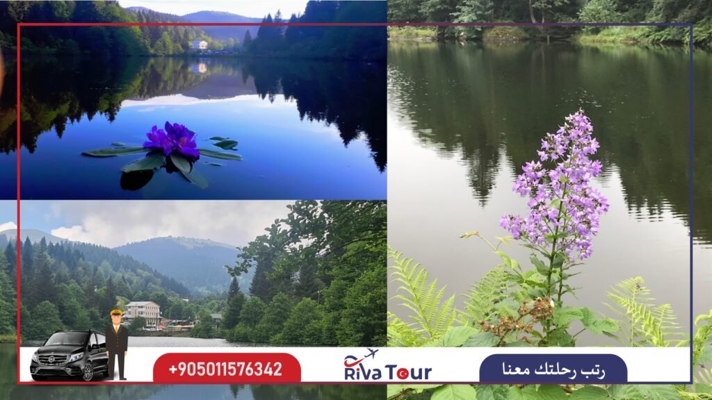 بحيرة السمك