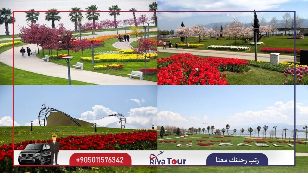 حديقة العجائب