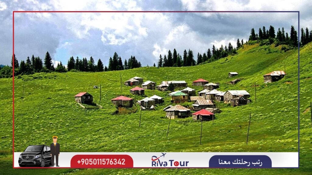 حيدر نبي