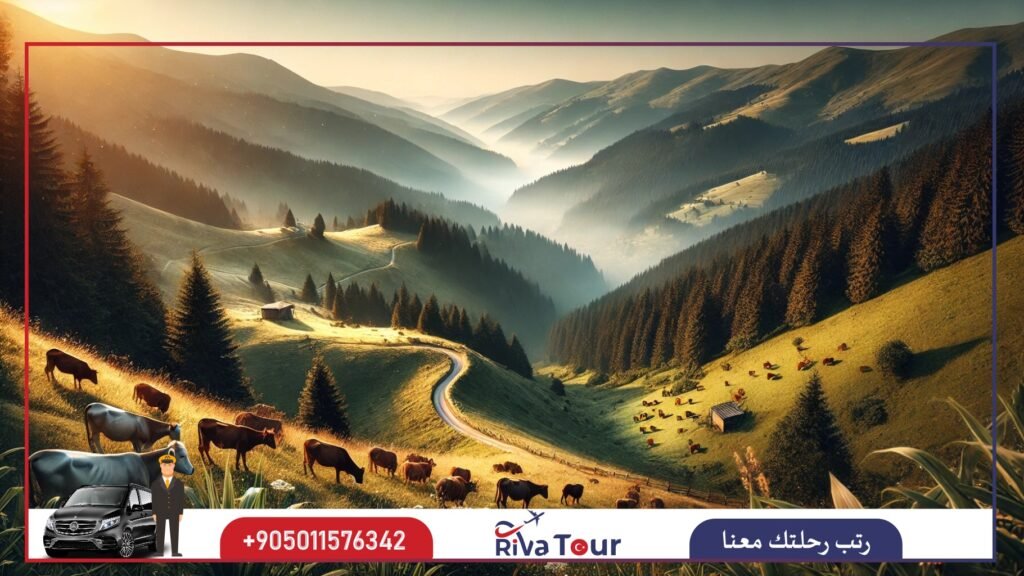 الاماكن السياحية في حيدر نبي