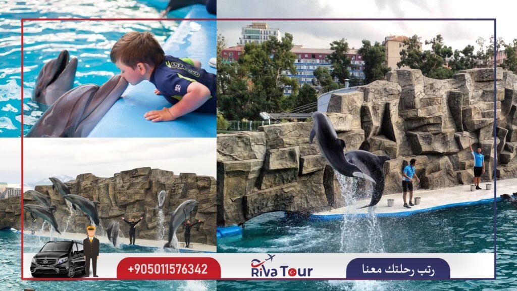باتومي دولفيناريوم