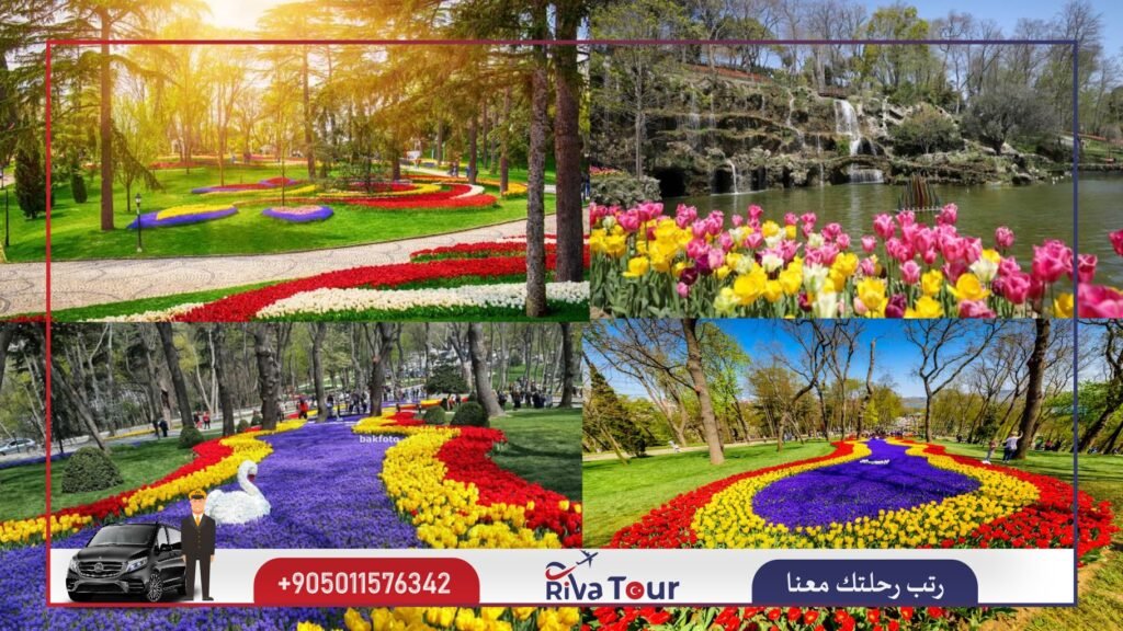 حديقة الاميرجان